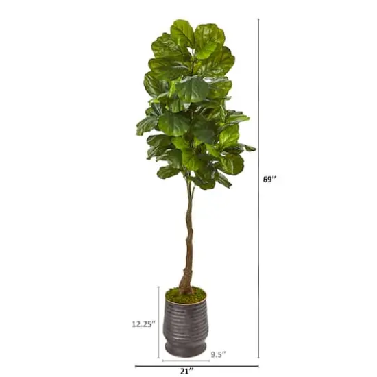 6ft. Fiddle Leaf Tree in Ribbed Metal Planter {3}