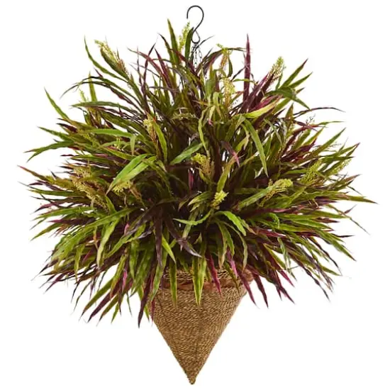 2ft. Variegated Autumn Grass Plant in Hanging Basket {1}