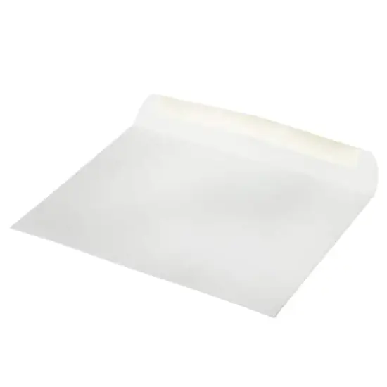 JAM Paper 9" x 12" White Booklet Commercial Window Envelopes, 25ct. {5}