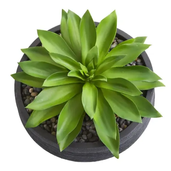 10" Large Succulent Artificial Plant in Decorative Bowl {3}