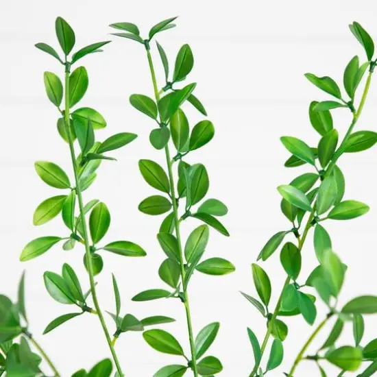 6ft. Artificial Shady Lady Black Olive Tree {4}