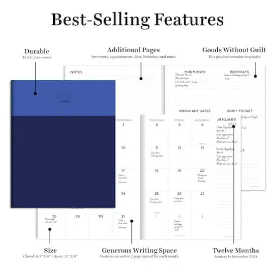 TF Publishing Medium 2024 Blue Blocker Monthly Planner {3}