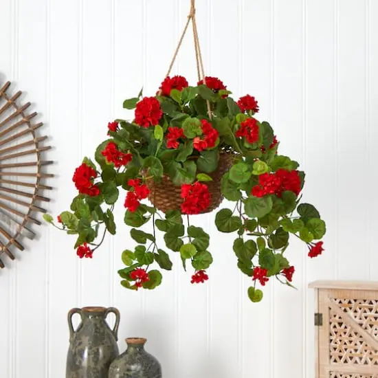 24" Red Geranium in Hanging Basket {5}