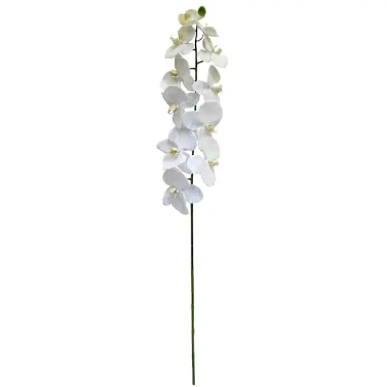 White Orchid Stem by Ashland&reg; {1}