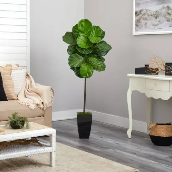 4.5ft. Fiddle Leaf Tree in Black Metal Planter {5}