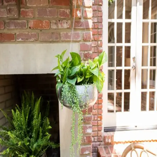 Hello Honey&reg; 41" Faux String of Pearl Picks, 12ct. {7}