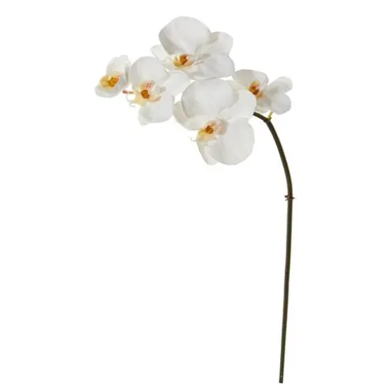 20" Phalaenopsis Orchid Artificial Flower (Set of 12) {1}