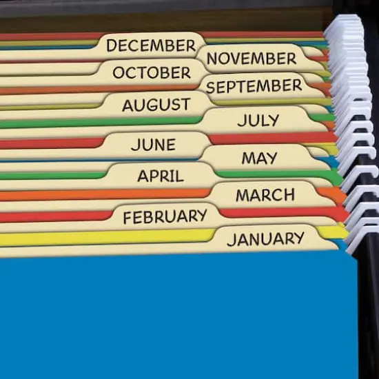 Find It Trading Tab View Assorted Colors Letter Hanging File Folder, 20ct. {4}