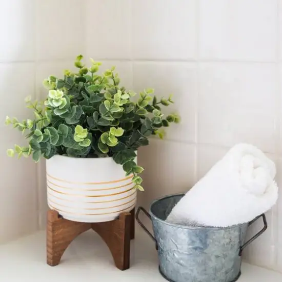 Flora Bunda&reg; 4.75" Eucalyptus In Ceramic Pot On Wood Stand {4}