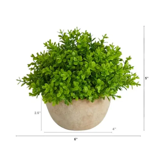 5'' Boxwood Artificial Plant in Decorative Planter {3}