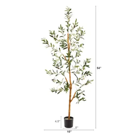 4.5ft. Potted Sparse Olive Tree {3}