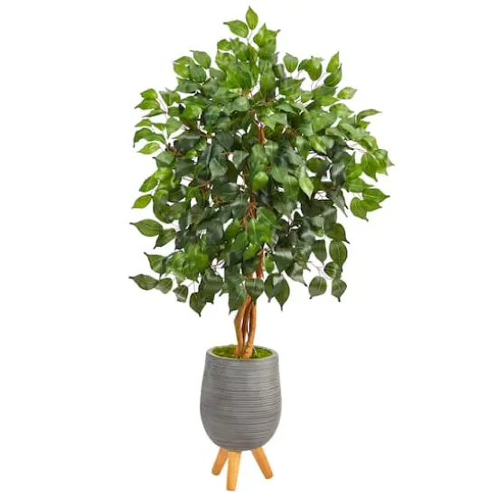 4ft. Ficus Tree in Gray Planter with Stand {1}