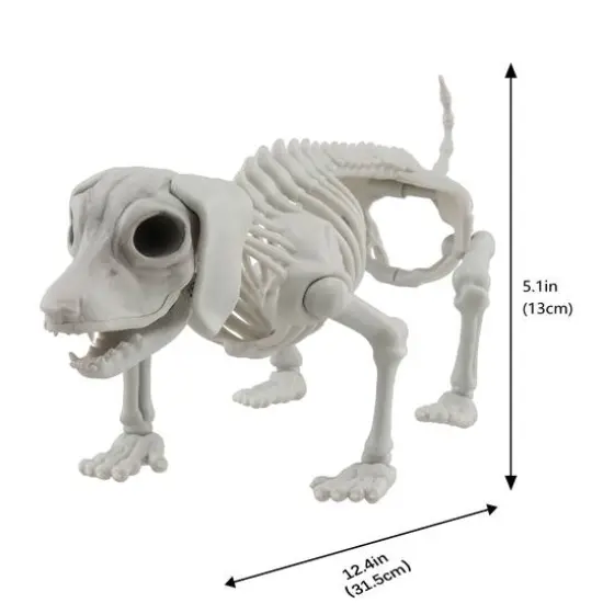 12.5" Dog Skeleton by Ashland&reg; {5}