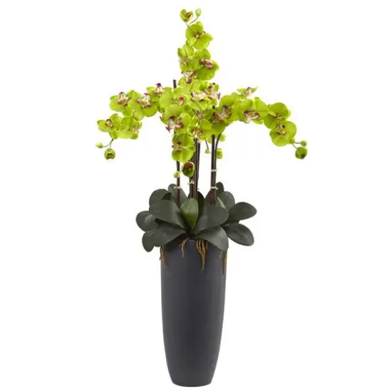 3.5ft. Phalaenopsis Orchid Arrangement with Bullet Planter White {2}