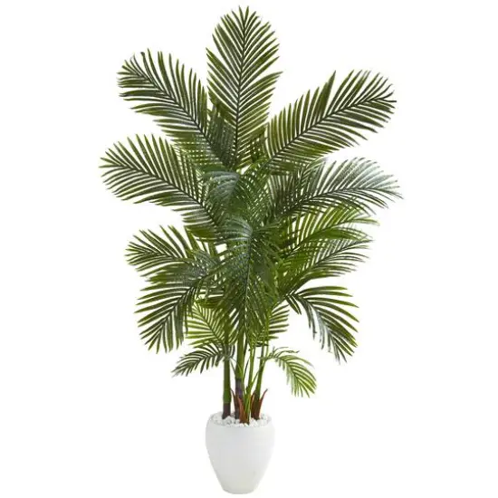 5.75ft. Areca Palm Tree in White Planter {1}