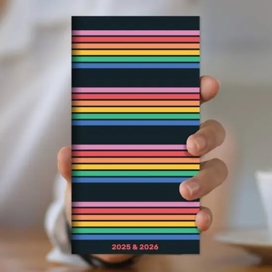 TF Publishing 2025-2026 Small Retro Stripe Monthly Pocket Planner {3}