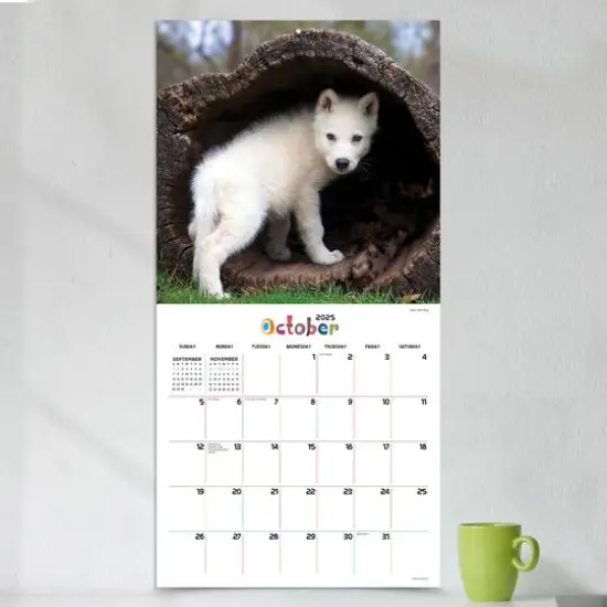 TF Publishing 2025 Baby Animals Wall Calendar {5}