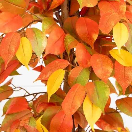 3ft. Orange & Yellow Autumn Ficus Artificial Potted Tree {4}