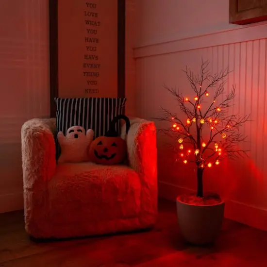 3ft. Pre-Lit Artificial Halloween Black Twig Tree with 18 Orange LED Pumpkin Shaped Lights {12}