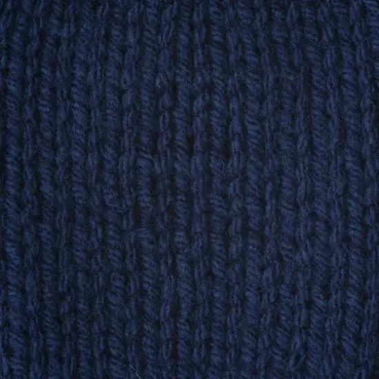 Caron&reg; One Pound&trade; Yarn Midnight Blue {5}