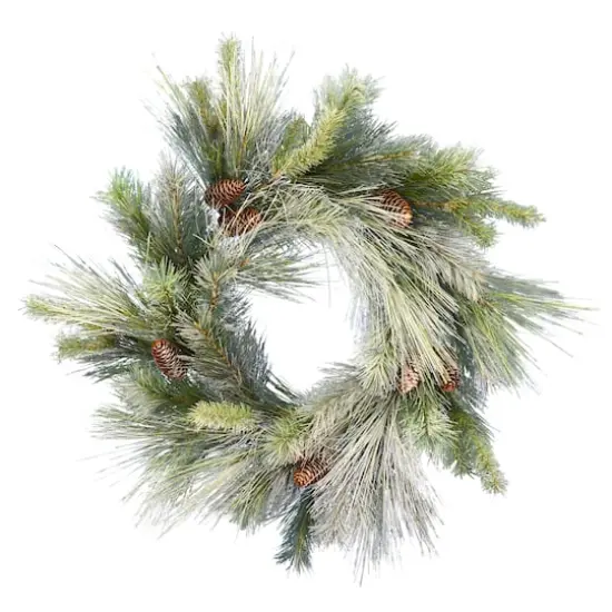 24" Unlit Frosted Myers Pine Artificial Christmas Wreath {1}