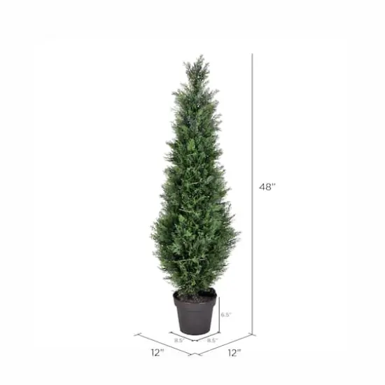 4ft. Potted Green Cedar Tree {5}