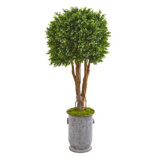 4.5ft. Boxwood Topiary Tree in Planter {1}