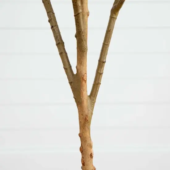 6ft. Potted Artificial Olive Tree with Natural Trunk {6}