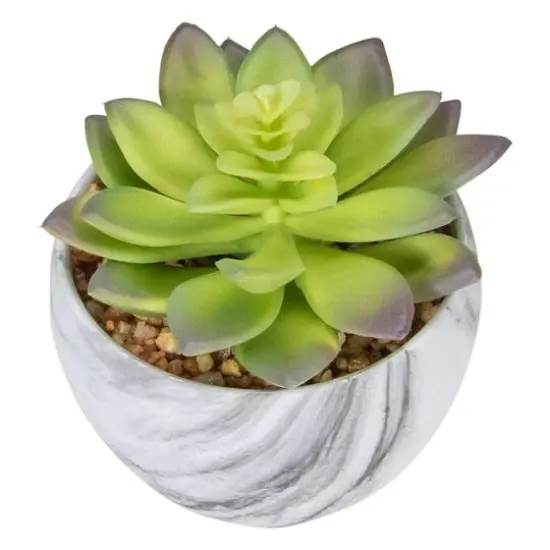 4" Green & Purple Succulent in Faux Marble Pot {6}