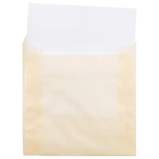 JAM Paper 8.5" x 8.5" Translucent Vellum Invitation Envelopes, 50ct. Spring Ochre {5}