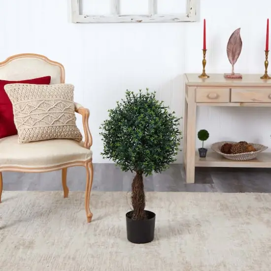 3ft. Potted Ixora Topiary {5}