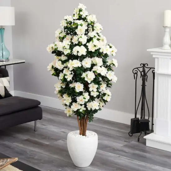 5ft. Azalea Tree in White Planter {3}