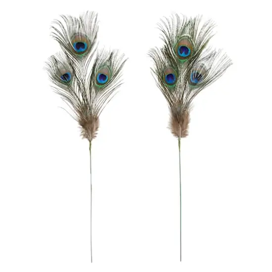 Peacock Feather Picks by Ashland&reg; {1}