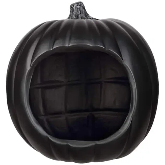 9" Black Diorama Pumpkin by Ashland&reg; {1}