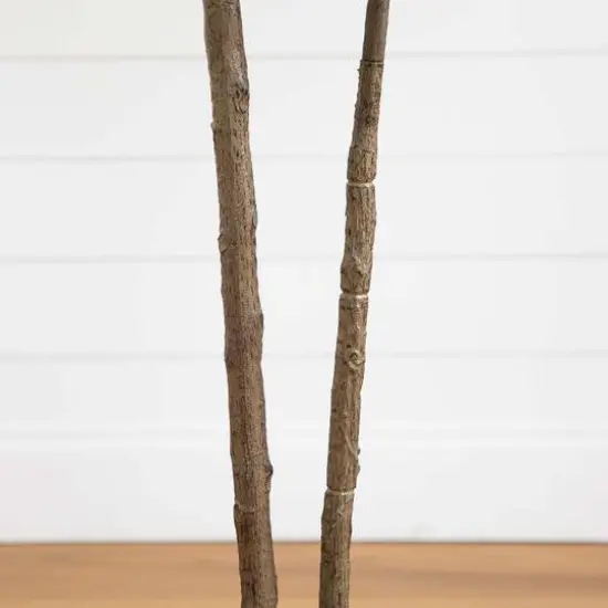 6ft. Rubber Tree in Decorative Planter with Real Touch Leaves {7}