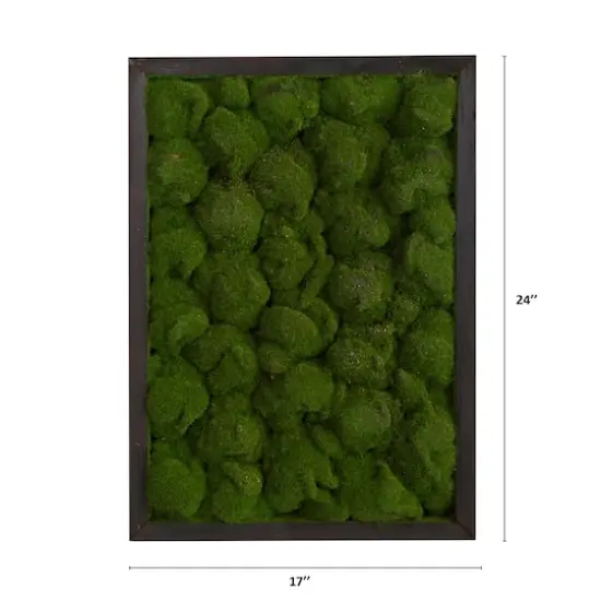 24" Artificial Moss Hanging Frame {4}