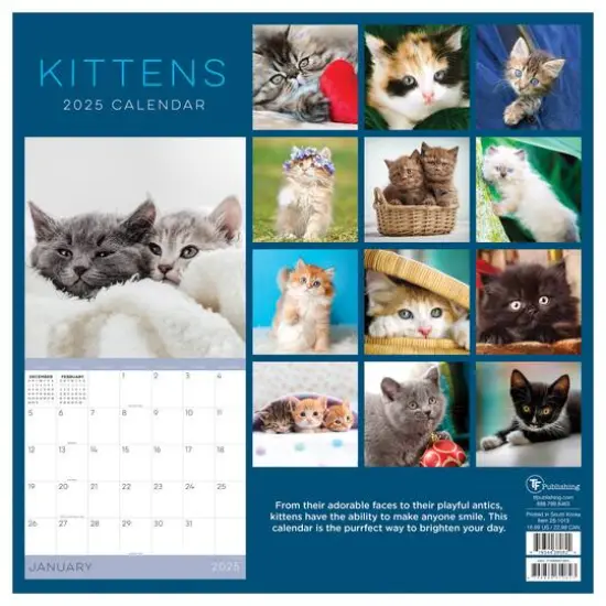 TF Publishing 2025 Kittens Wall Calendar {3}
