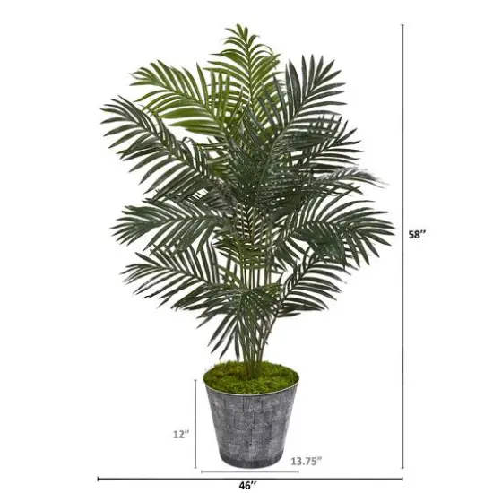 5ft. Paradise Palm Tree in Decorative Planter {3}