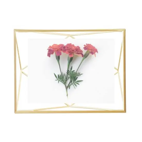 Umbra Matte Brass Prisma Picture Frame {1}