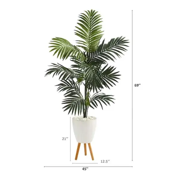 6ft. Kentia Palm Tree in White Planter with Stand {3}