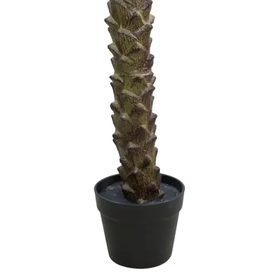 7.25ft. Potted Green & Brown Phoenix Palm Tree {3}