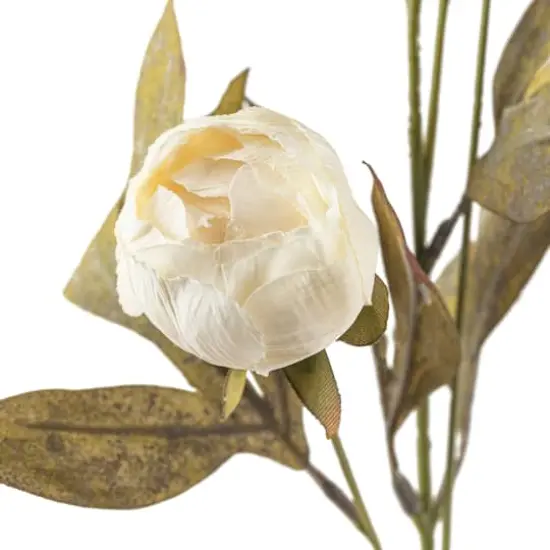 Cream Peony Stem by Ashland&reg; {4}