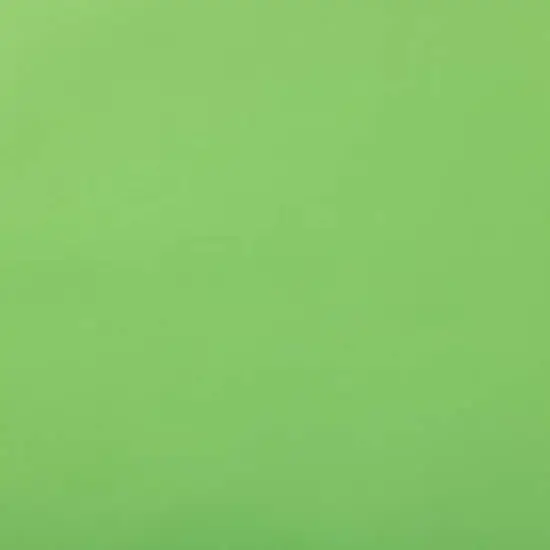 JAM Paper Matte Gift Wrap, 2ct. Lime Green {6}