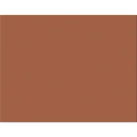 Pacon&reg; 4-Ply Railroad Board, 22" x 28", 25 Sheets Brown {1}