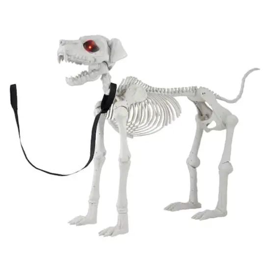 5ft. Poseable Dog Skeleton by Ashland&reg; {1}