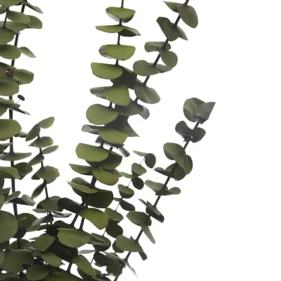 Kelly Green Dried Eucalyptus Bundle by Ashland&reg; {3}