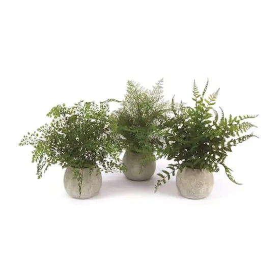 14" Potted Fern Plant in Gray Pot Set {1}