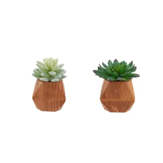 Flora Bunda&reg; 4.5" Succulent Plant in Wood Pot, 2ct. {1}