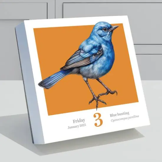 TF Publishing 2025 Birds: Backyard & Beyond Daily Desktop Calendar {4}