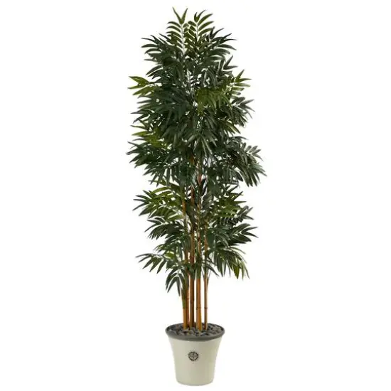 6ft. Phoenix Palm Tree in Decorative Planter {1}